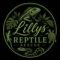 Lilly the red tailed boa & reptile rescue cic Avatar